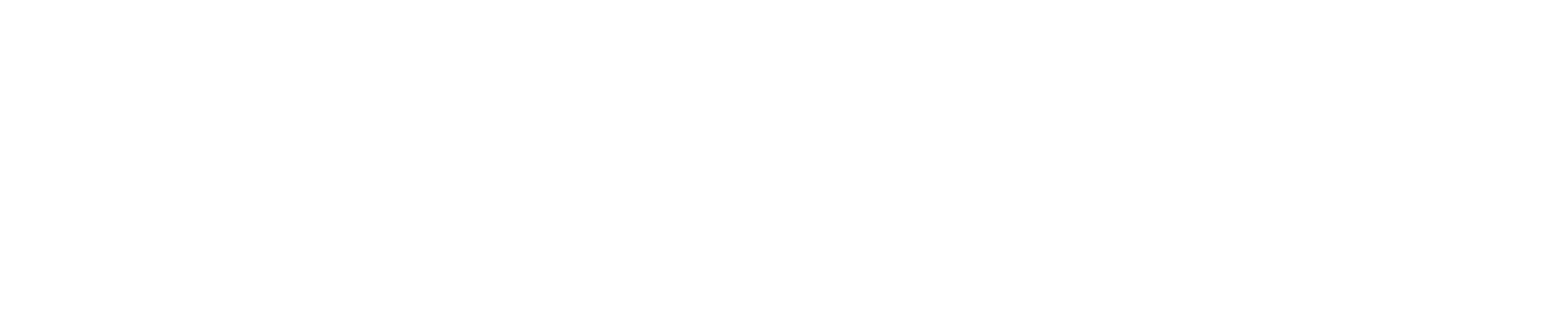 Best Car Cam